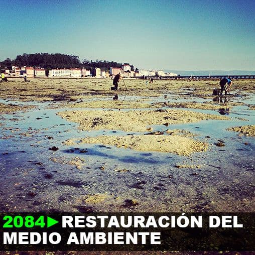 2084: El hombre se ve obligado a la restauración del medio ambiente.
