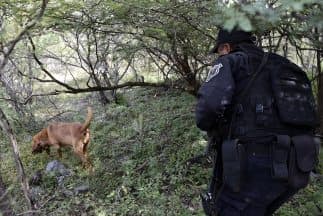 La fiscalía subió de 30 a 38 la cifra de cadáveres hallados en fosas clandestinas encontradas desde que emprendió la búsqueda de los desaparecidos hace casi un mes.