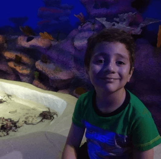 Como un dato curioso adicional, a Said le gusta admirar las especies marinas.