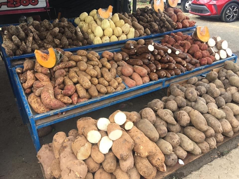 Reabre Plaza Agropecuaria en San Sebastián