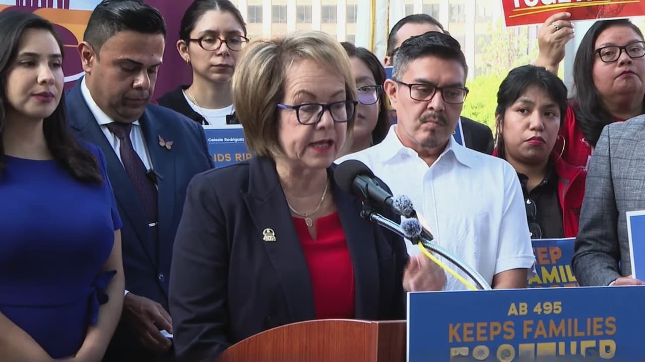 Ley en California busca proteger a niños separados por redadas de ICE