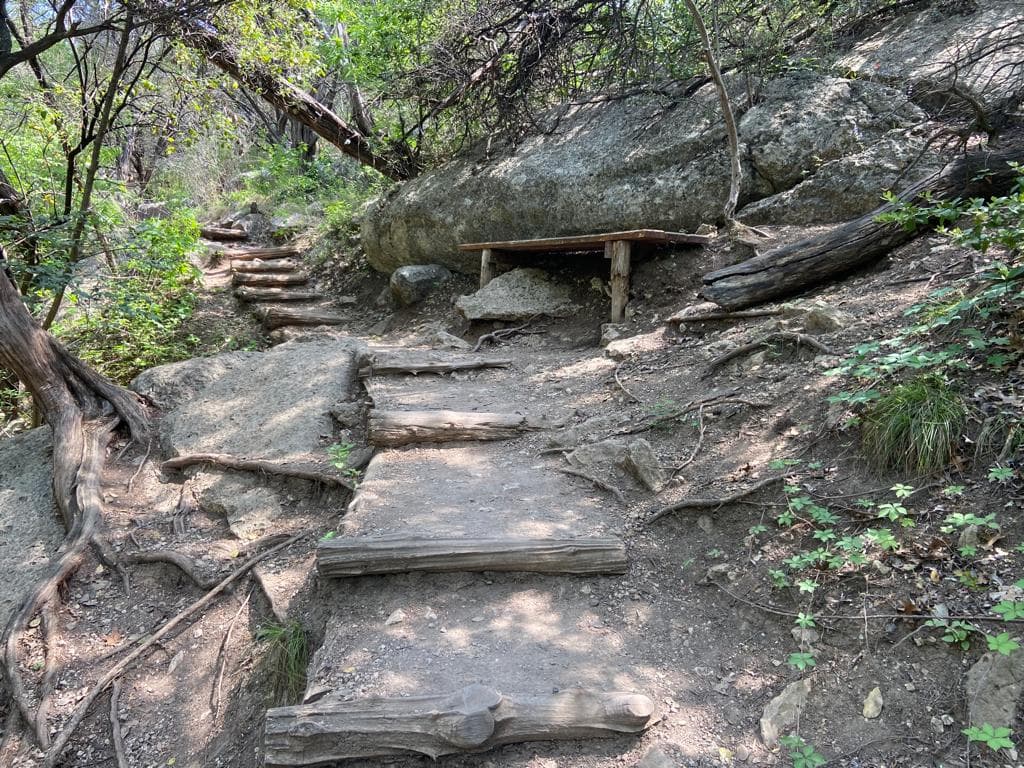 Decirle a una persona cercana a dónde va y cuándo va a regresar.