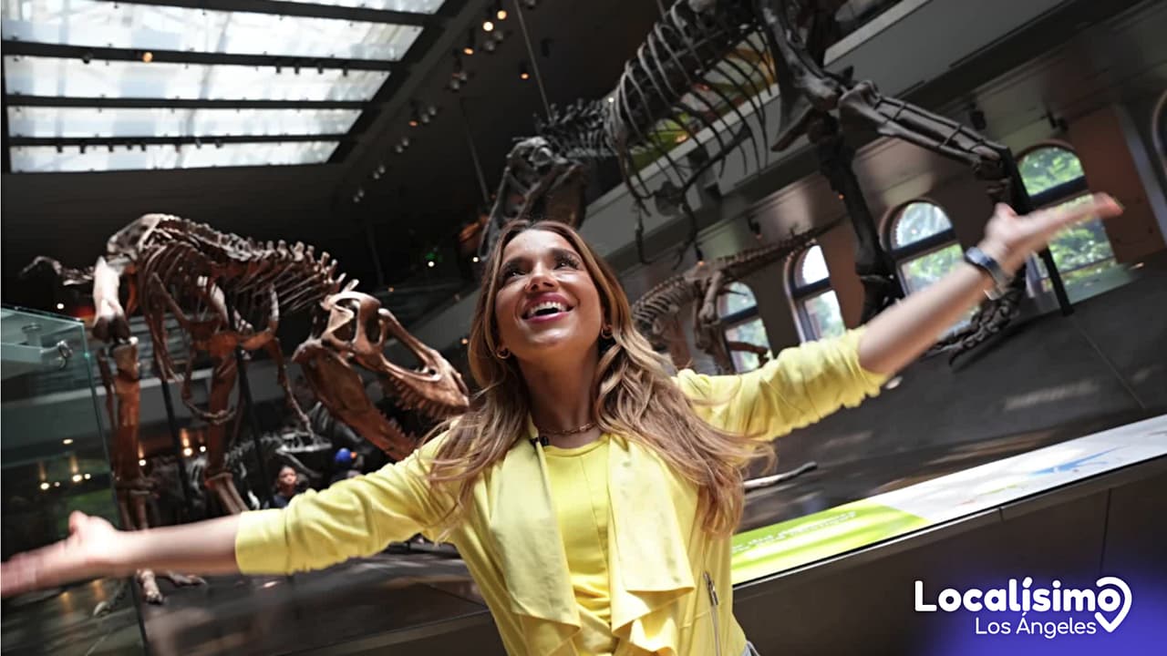 Viaja en el tiempo: Explora el fascinante pasado en el Museo de Historia Natural y La Brea Tar Pits 