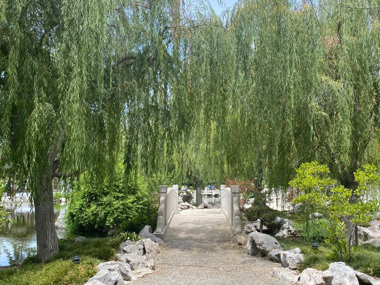 Todas las plantas dentro de los jardines son completamente naturales, de allí la importancia de conocer las consecuencias que climas extremos pueden tener sobre estos hermosos ecosistemas.