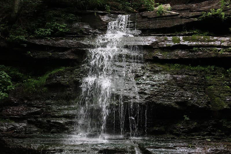 Un educador ambiental presenta programas orientados a los recursos y camina de abril a octubre. Los temas principales y los programas estacionales incluyen:
<ul>
 <li style="box-sizing: inherit; margin: 0px; padding: 0px; font-size: 1rem; text-transform: none; font-family: Montserrat, Gotham, "Open Sans", "Helvetica Neue", Helvetica, sans-serif; color: rgb(70, 70, 70); line-height: 1.778rem; white-space: normal;">Astronomía</li>
 <li style="box-sizing: inherit; margin: 0px; padding: 0px; font-size: 1rem; text-transform: none; font-family: Montserrat, Gotham, "Open Sans", "Helvetica Neue", Helvetica, sans-serif; color: rgb(70, 70, 70); line-height: 1.778rem; white-space: normal;">Color de otoño</li>
 <li style="box-sizing: inherit; margin: 0px; padding: 0px; font-size: 1rem; text-transform: none; font-family: Montserrat, Gotham, "Open Sans", "Helvetica Neue", Helvetica, sans-serif; color: rgb(70, 70, 70); line-height: 1.778rem; white-space: normal;">Exprimir sidra a la antigua</li>
 <li style="box-sizing: inherit; margin: 0px; padding: 0px; font-size: 1rem; text-transform: none; font-family: Montserrat, Gotham, "Open Sans", "Helvetica Neue", Helvetica, sans-serif; color: rgb(70, 70, 70); line-height: 1.778rem; white-space: normal;">Programas de verano de fogatas</li>
 <li style="box-sizing: inherit; margin: 0px; padding: 0px; font-size: 1rem; text-transform: none; font-family: Montserrat, Gotham, "Open Sans", "Helvetica Neue", Helvetica, sans-serif; color: rgb(70, 70, 70); line-height: 1.778rem; white-space: normal;">Educación de cuenca</li>
</ul>