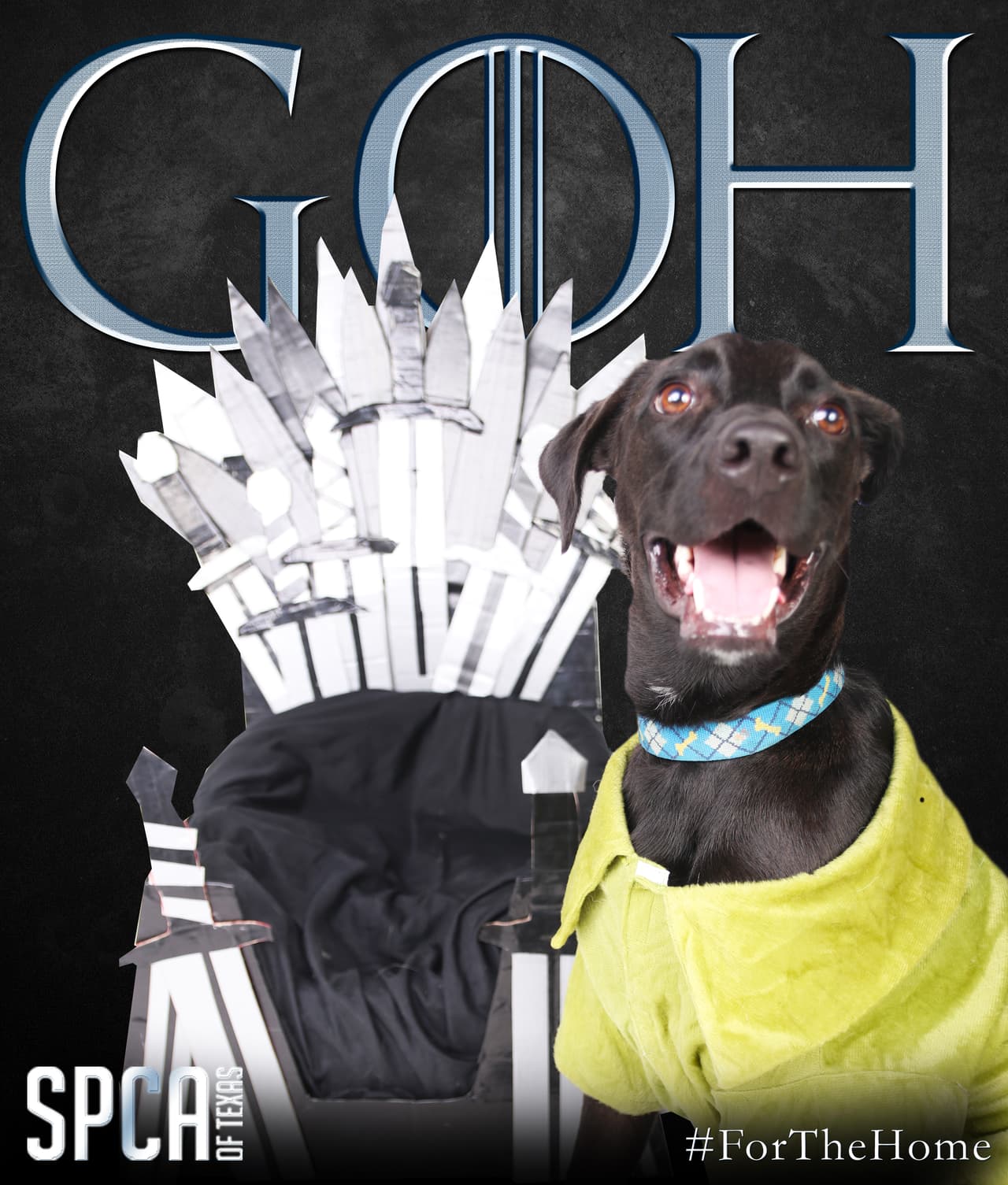 Desde el viernes hasta el domingo 19 de mayo, los precios de adopción para perros y gatos que han estado en los albergues de SPCA más de 100 días pueden ser adoptados por solo $8 en honor de la octava y última temporada de “Game of Thrones”.
<br>