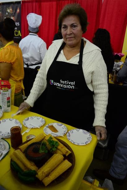 Festival Univision 2014