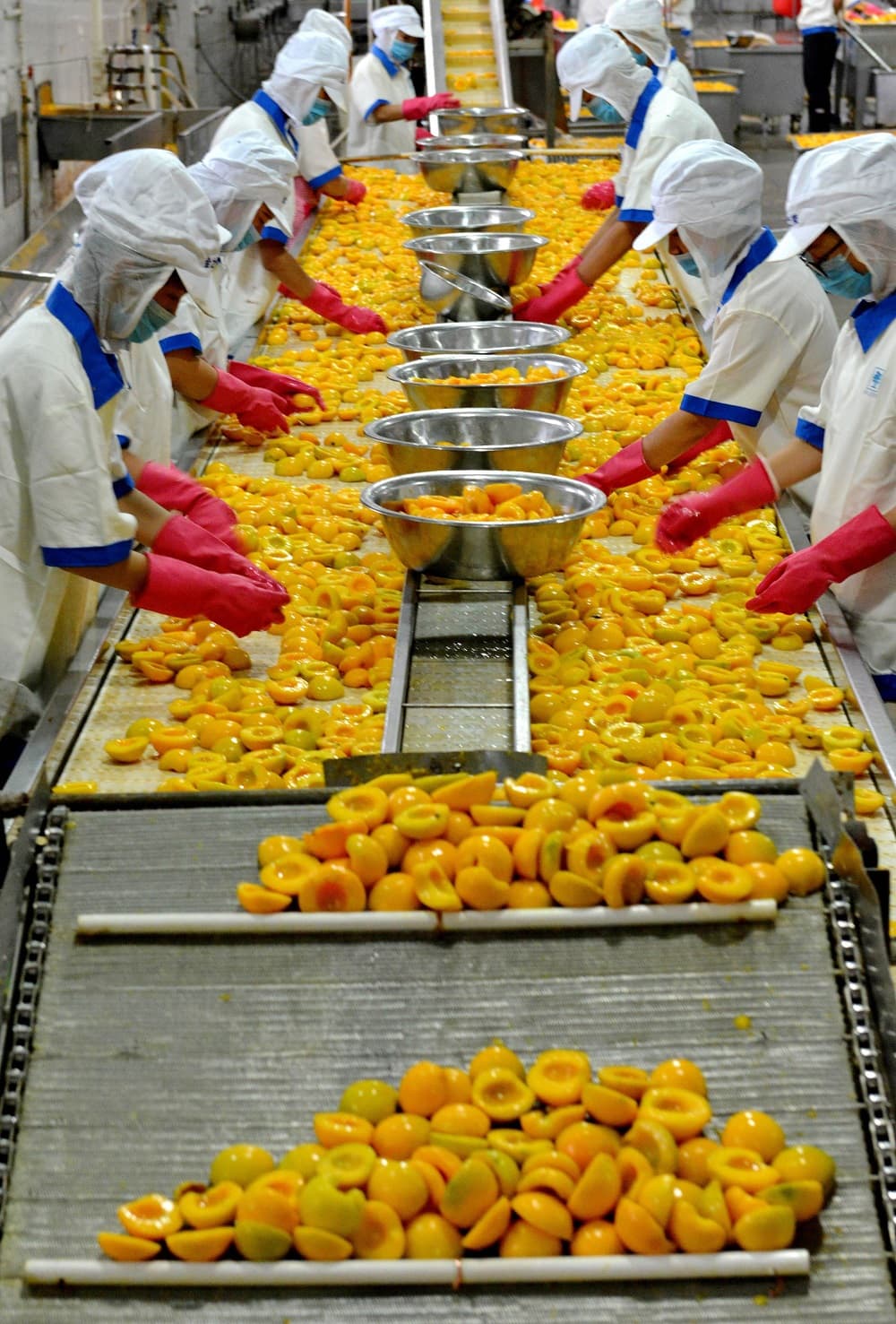 <b>Fruta. </b>También los estadounidenses podrían ver cómo sube la factura de la compra al adquirir manzanas, bananas, cocos, piñas, naranjas, peras y melocotones. Esta segunda tanda de productos afectados es una represalia del gobierno de Trump por la respuesta de Pekín a 
<b><a href="https://www.univision.com/noticias/politica/el-gobierno-de-trump-anuncia-aranceles-valorados-en-50-000-millones-de-dolares-a-bienes-importados-de-china">las primera tasas aduanales impuestas por Washington</a></b>.