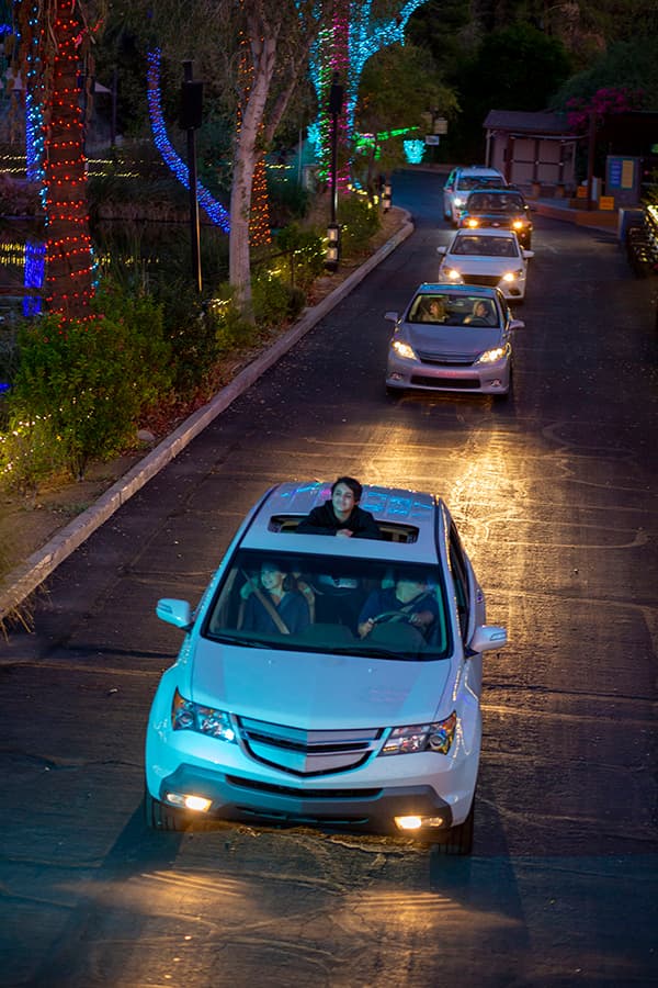 La exhibición se lleva a cabo en el Phoenix Zoo (
<a href="https://goo.gl/maps/Tyabwthu75o4uzY18" target="_blank">455 North Galvin Parkway, Phoenix, AZ 85008</a>) . 
<br>