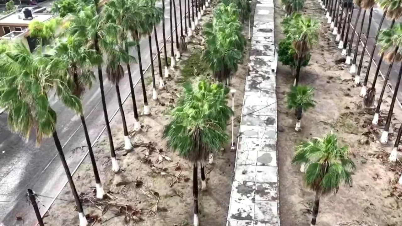 Desde el aire y en tierra: Imágenes muestran los estragos del paso del huracán Polo en México
