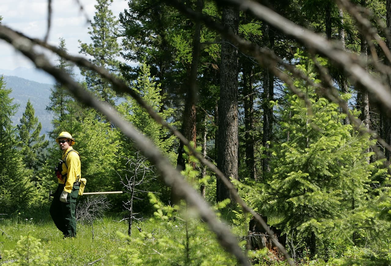 <h3 class="cms-H3-H3"><b>9. Montana</b></h3>
<br>
<br>Las cifras de NOAA, revisadas por AP, reflejan que Montana ha registrado un aumento de 2.4º F en los últimos 30 años. El estado, actualmente, concentra 
<a href="https://www.univision.com/temas/incendios">la mayor cantidad de incendios en el país</a> (18), causados por la histórica ola de calor.