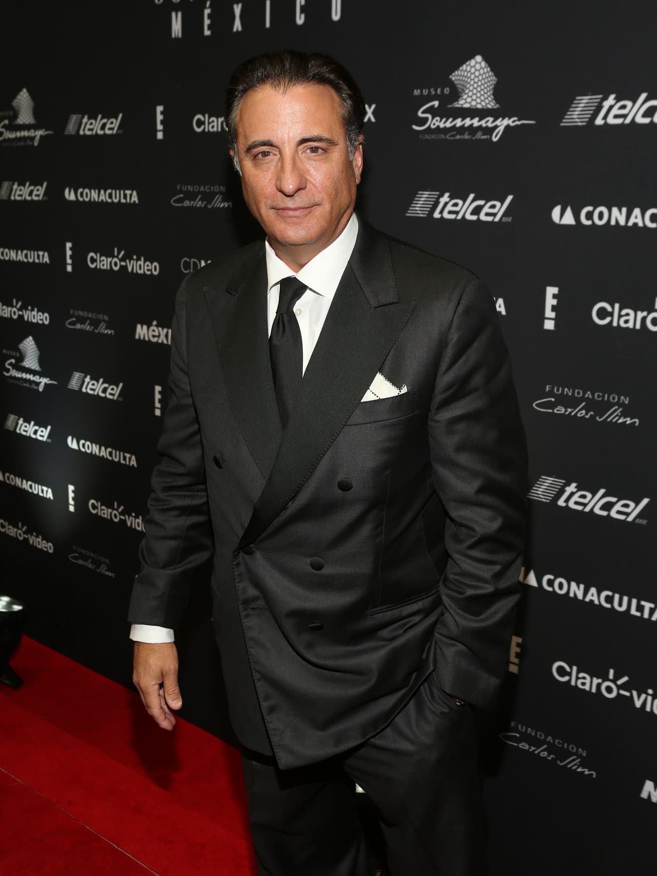 ¿Imaginas a Andy García siendo músico? Pues la estrella afirmó que le habría encantado serlo, de no haberse convertido en una celebridad gracias a su nominación al Oscar por participar en 'The Godfather'.