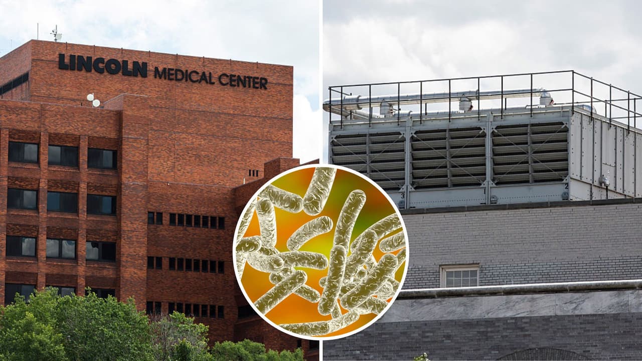 Muere séptima víctima por la enfermedad del legionario en Harlem: van 114 casos