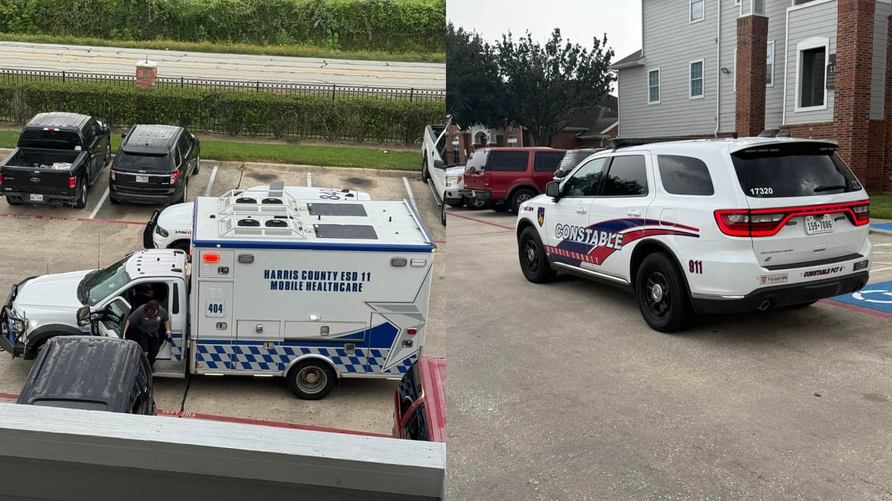 "Oraciones por su pronta recuperación": Niña es atacada por un perro pitbull en un vecindario del condado Harris