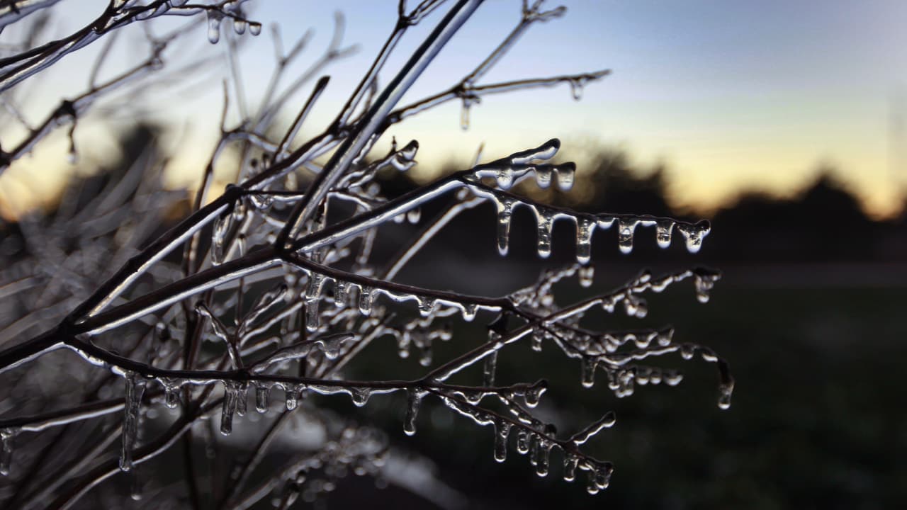 Distrito Independiente de Harlandale cancela clases presenciales para la próxima semana 