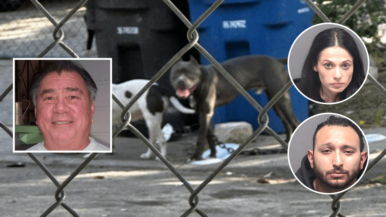 Dueños de perros que mataron a veterano son sospechosos de entrenarlos con carne para ‘ser agresivos’