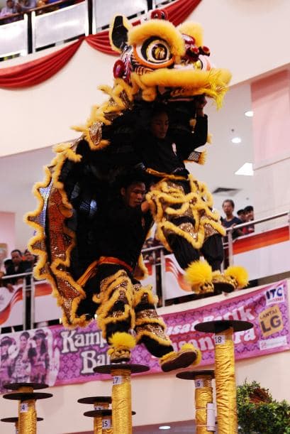 os leones están hechos con diversos materiales.