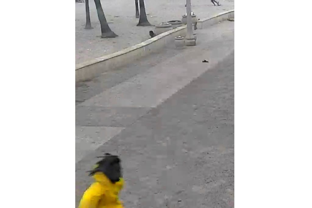 La policía de Hollywood está pidiendo a la comunidad, que si tiene cualquier video o foto del incidente lo compartan con ellos a 
<a target="_blank" href="mailto:hollywoodtips@hollywoodfl.org">hollywoodtips@hollywoodfl.org</a>, también 
<b>habilitaron un centro para la ayuda a las víctimas.</b>
<br>