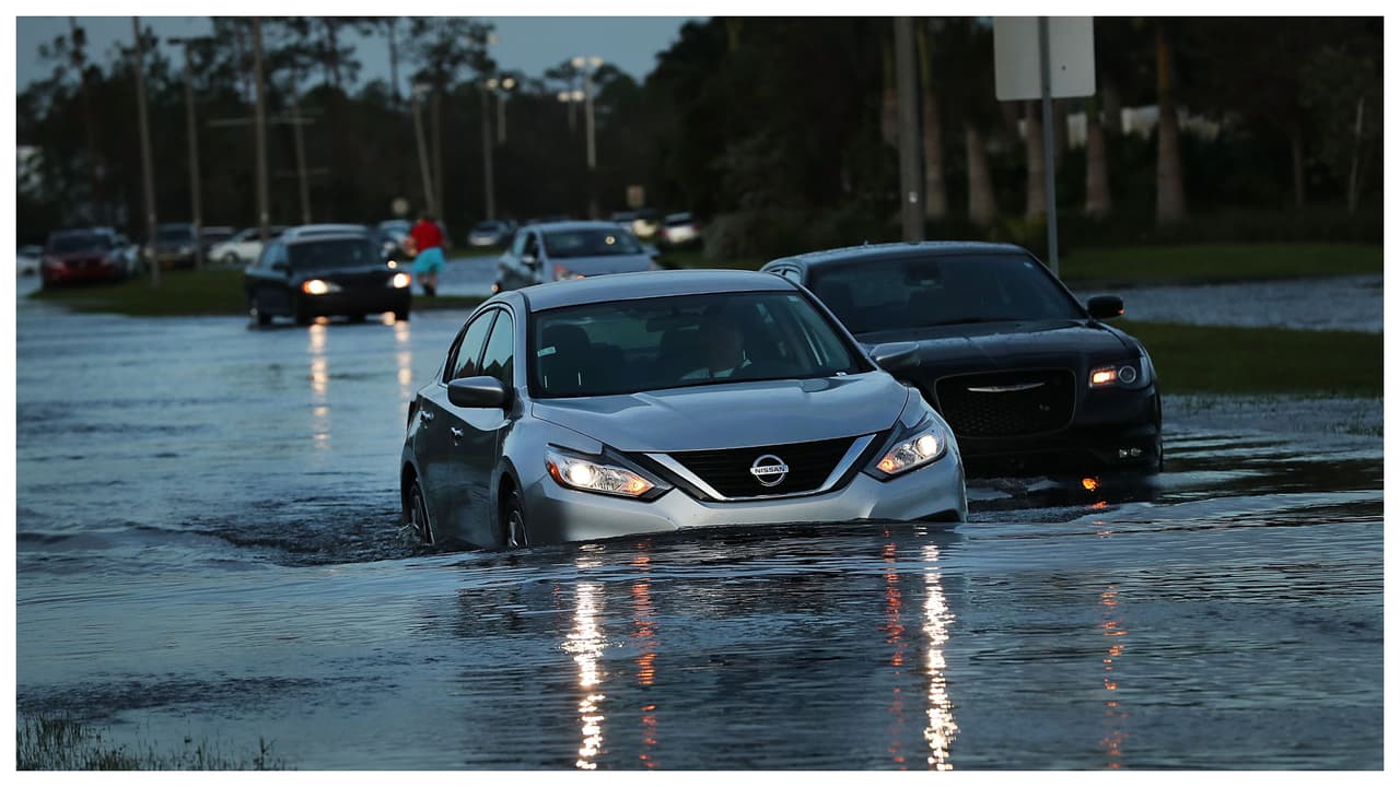 Así puedes saber si un auto tiene daños por inundación 