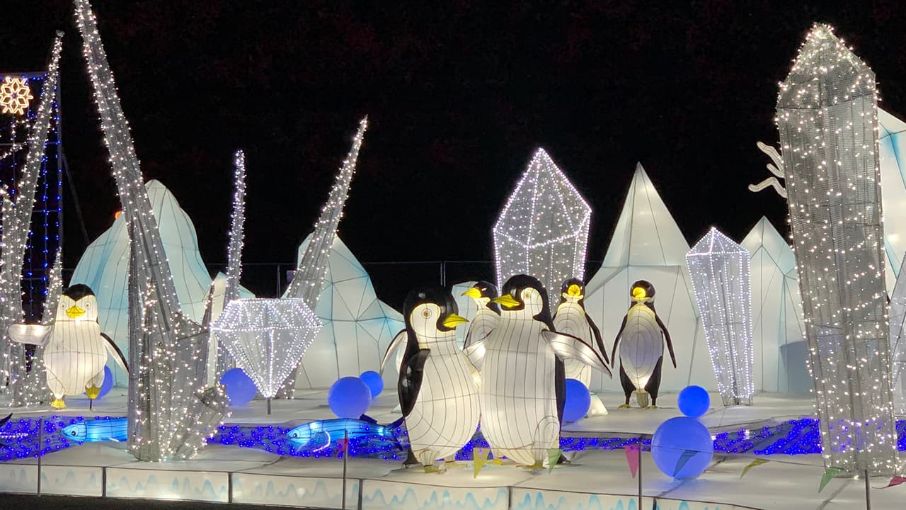 Caminarás por el área de los pingüinos en medio de paisajes de hielo formados por
<a href="https://www.univision.com/local/houston-kxln/houston-botanic-garden-navidad-luces-fotos">luces. </a>