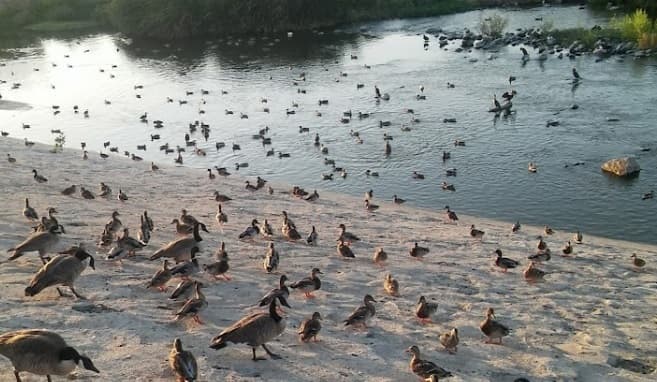 <b>5. Río Los Ángeles</b>
<br>
<br>Este importante sendero de agua dulce recorre desde Simi Hills en las montañas de Santa Susana en Canoga Park y concluye en la desembocadura de Long Beach con un largo total de 51 millas. 
<br>
<br>Las actividades en este destino incluyen kayak y paseos en bote. Este destino se puede visitar desde varias partes de la zona metropolitana de Los Ángeles.