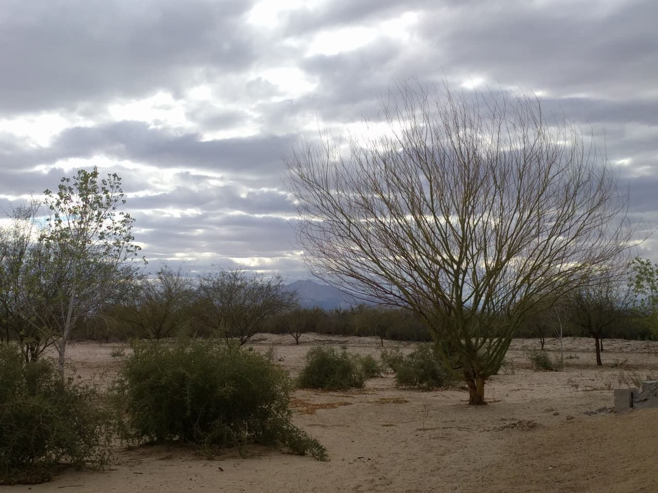 Hasta la década de 1960, el río Colorado se extendía a través de este delta en su camino hacia el Mar de Cortés, pero ya no es así.