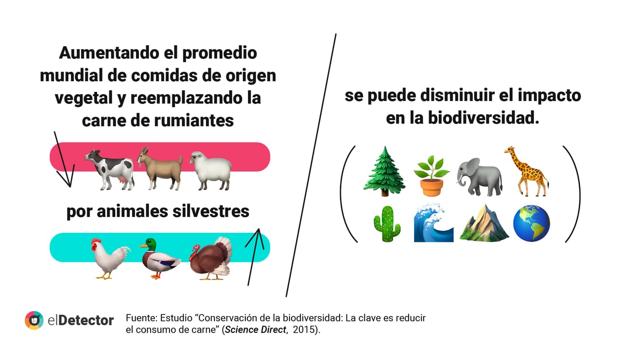 <a href="https://www.univision.com/noticias/verdad-reducir-consumo-de-carne-ayuda-planeta">Lee aquí completa la verificación de elDetector. </a>