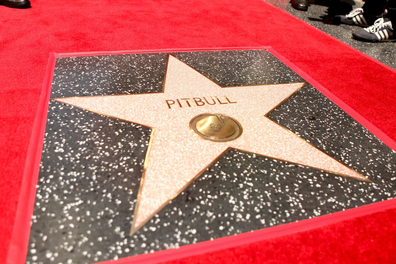 ¡Así luce la estrella de Pitbull!