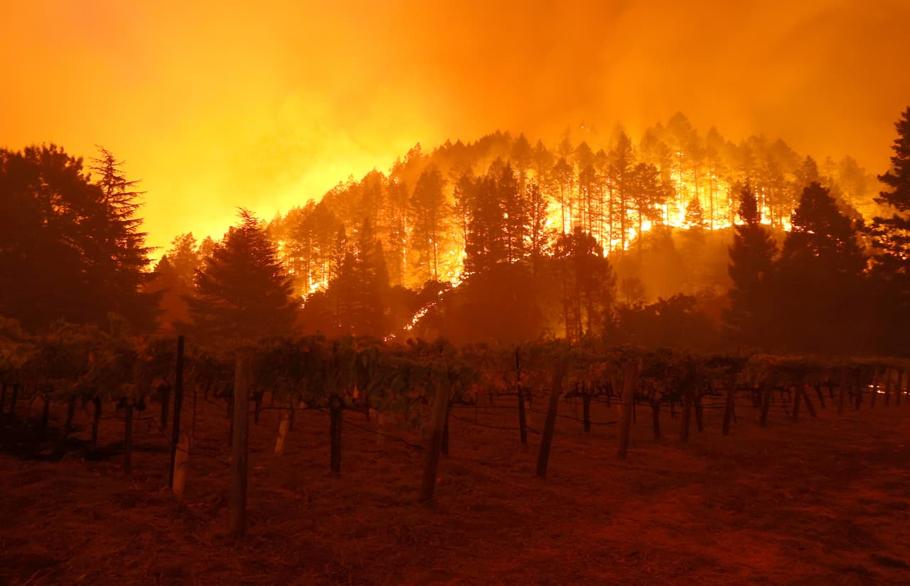 Múltiples 
<a href="https://www.univision.com/local/san-francisco-kdtv/incendio-en-los-vinedos-del-norte-de-california-obliga-a-33-000-residentes-a-evacuar-sus-hogares" target="_blank">incendios en los condados de Napa y Sonoma</a> arden fuera de control desde la madrugada del domingo y han obligado a la evacuación de más de 53,000 residentes de la región de viñedos del norte de California, que cada año se ve azotada por los fuegos forestales.