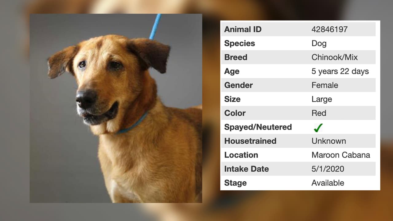 Vamos ahora a presentarte a Emma quien tiene 5 años.