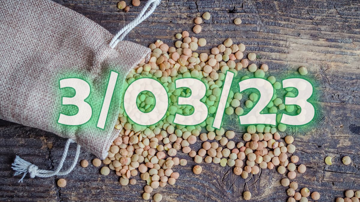 Portal 3/03/2023: dos poderosos rituales para abrir las puertas de la abundancia y manifestar tus deseos