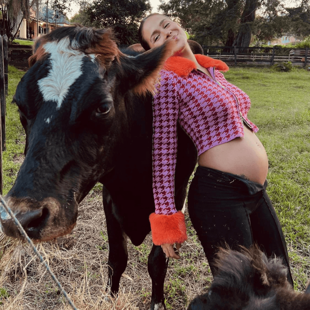 <a href="https://www.univision.com/musica/greeicy-rendon-asi-se-ve-despues-del-nacimiento-de-su-hijo-kai-fotos" target="_blank">Greeicy ama con locura los animales</a>, por eso es que tiene una casa en Medellín, Colombia, con gallinas, cerdos, vacas, conejos, gatos y perros con los que vive día a día y los muestra constantemente en redes sociales.