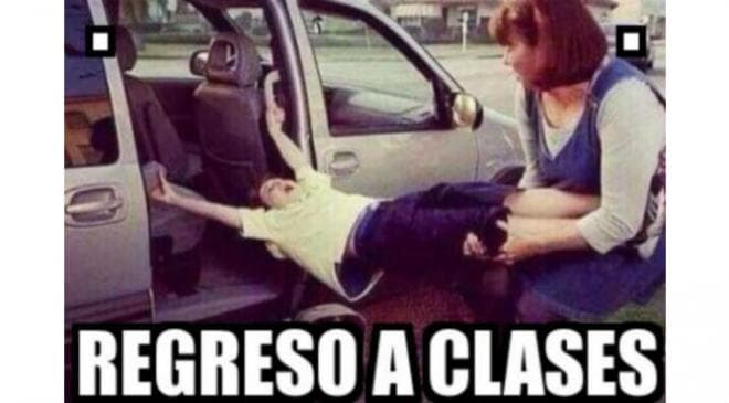 Este pequeño tiene que enfrentar la realidad del primer día de regreso a la escuela.