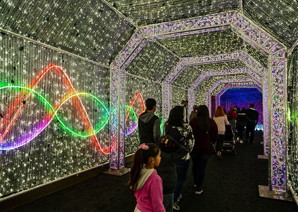El popular Twinkle Tunnel o “Tunel de Luces” regresa y promete ser el escenario para fotografías únicas, dentro de la enorme estructura de 200 pies de largo.