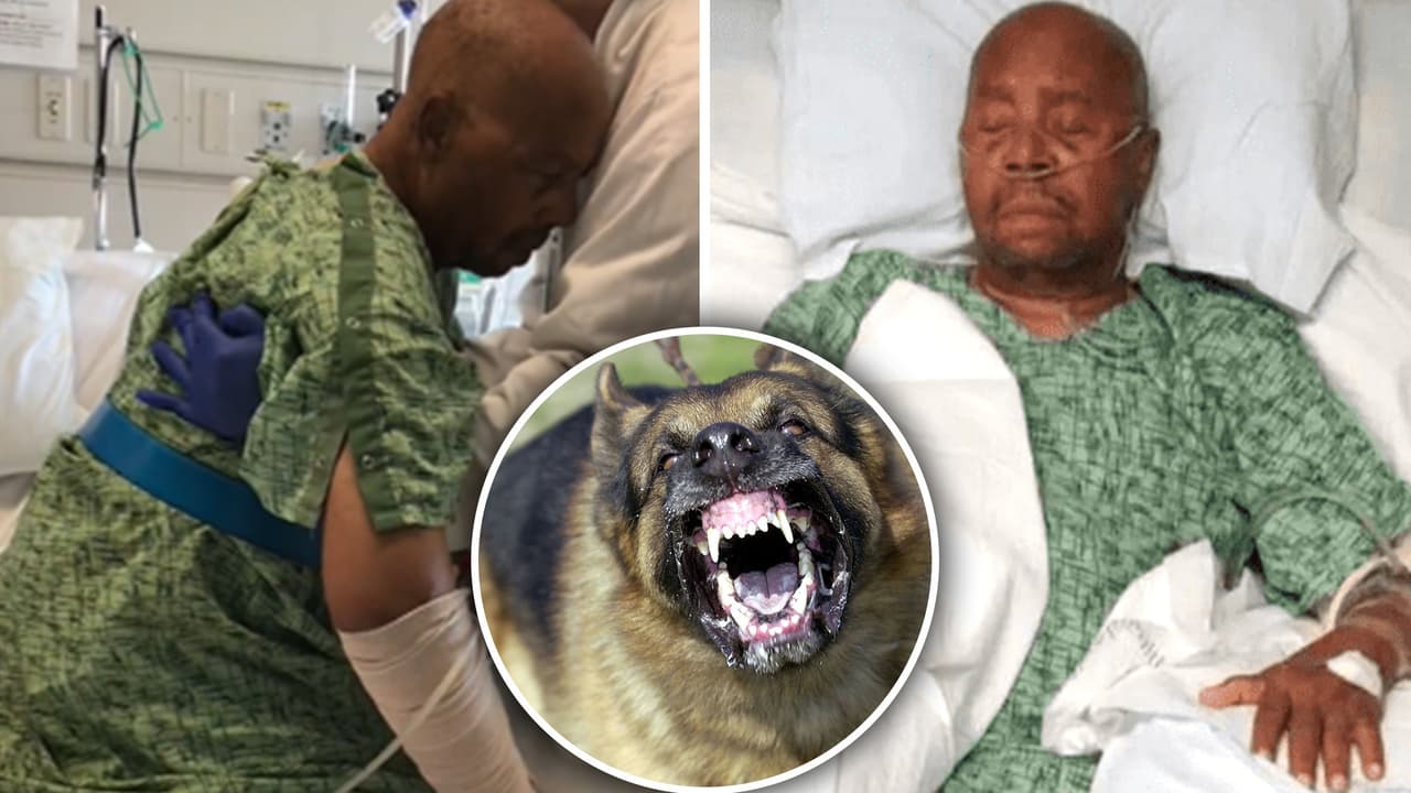 “Mi padre ha recibido 5 cirugías para no perder su brazo": Familia de hombre de 83 años que fue atacado por perros