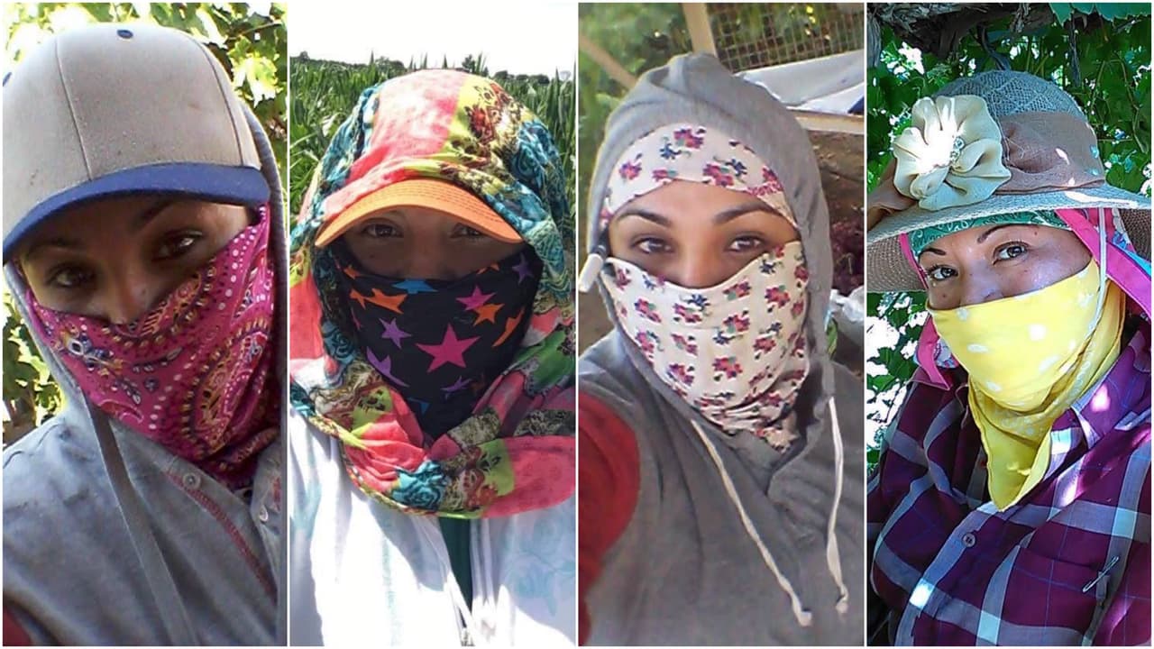 Cuando el calor y el miedo hacen que ser campesino sea una actividad de alto riesgo