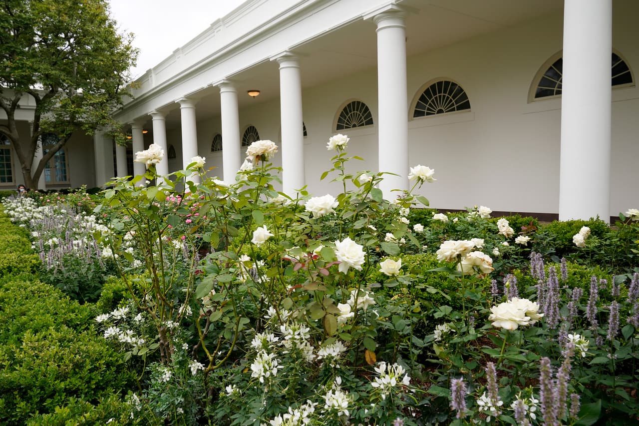 A pesar de que las normas políticas federales prohíben el uso instalaciones del gobierno para fines político-partidistas, este año debido a la pandemia se romperán las reglas.