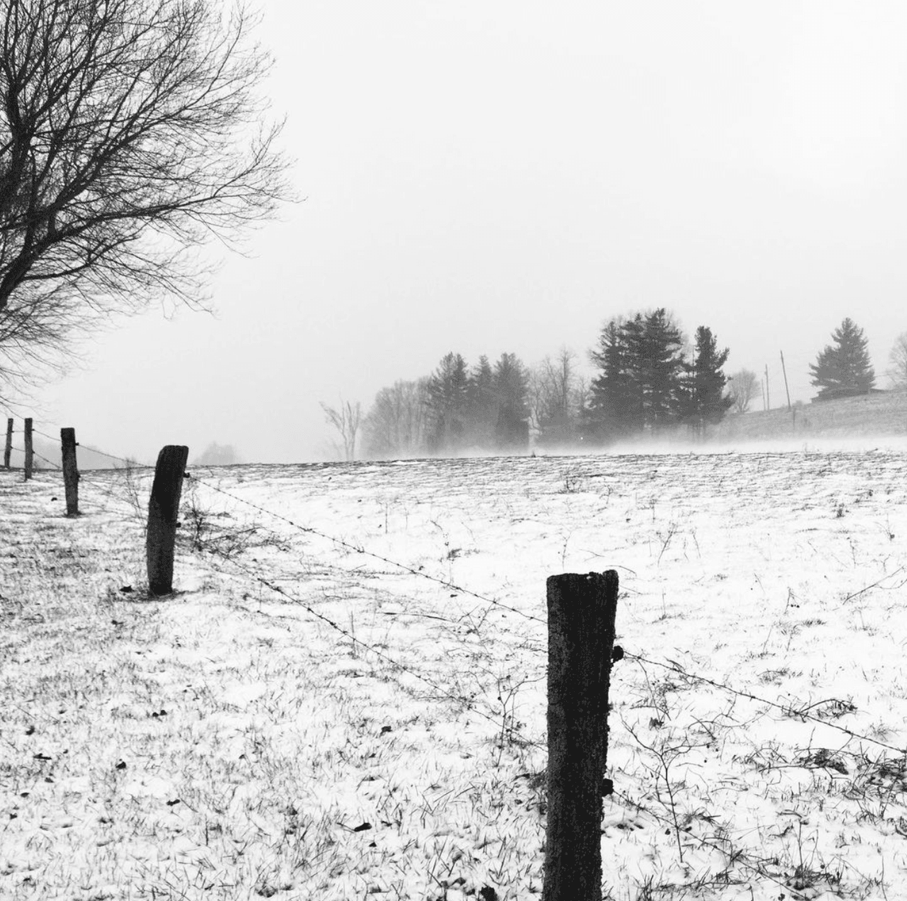 Carreteras, patios y senderos amanecieron el martes cubiertos de nieve.