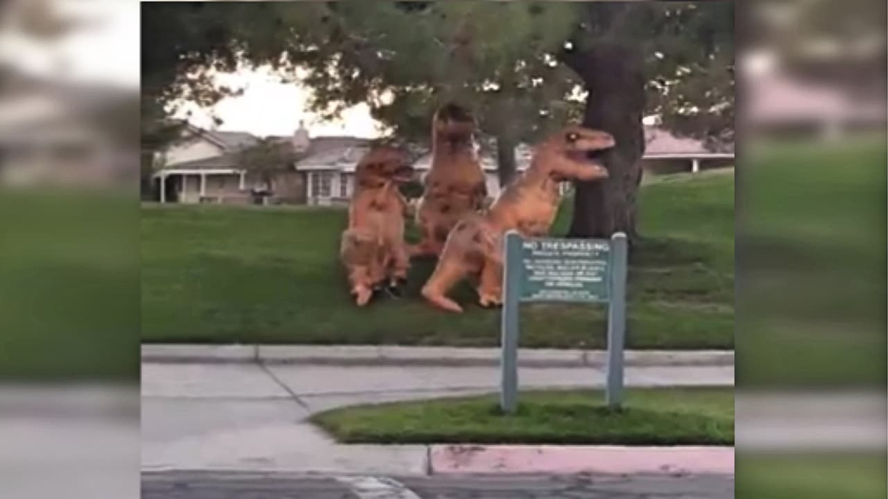 'Dinosaurios' bailan por las calles para desplazar a los payasos macabros