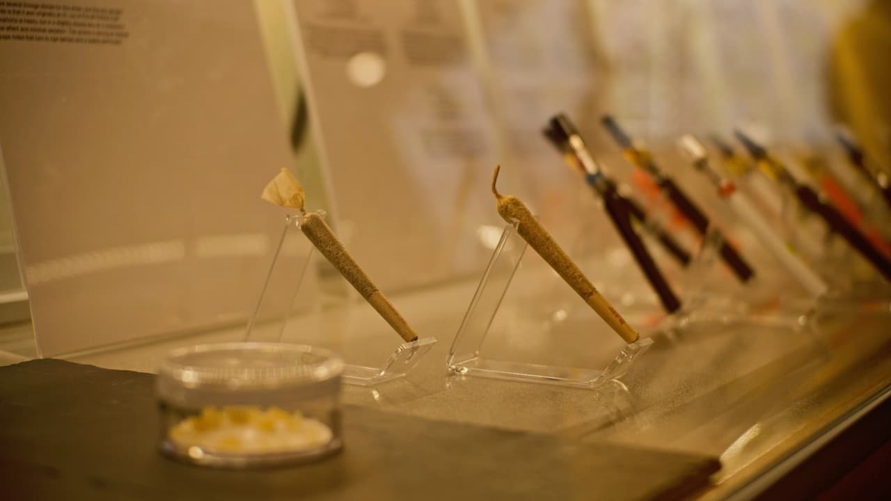 Estos cigarrillos de marihuana, altos en THC son una imagen estereotípica de cómo consume gente la droga.