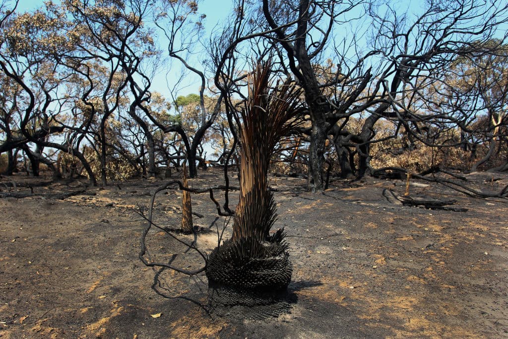 Inclusive, también han fallecido alrededor de 23 personas.