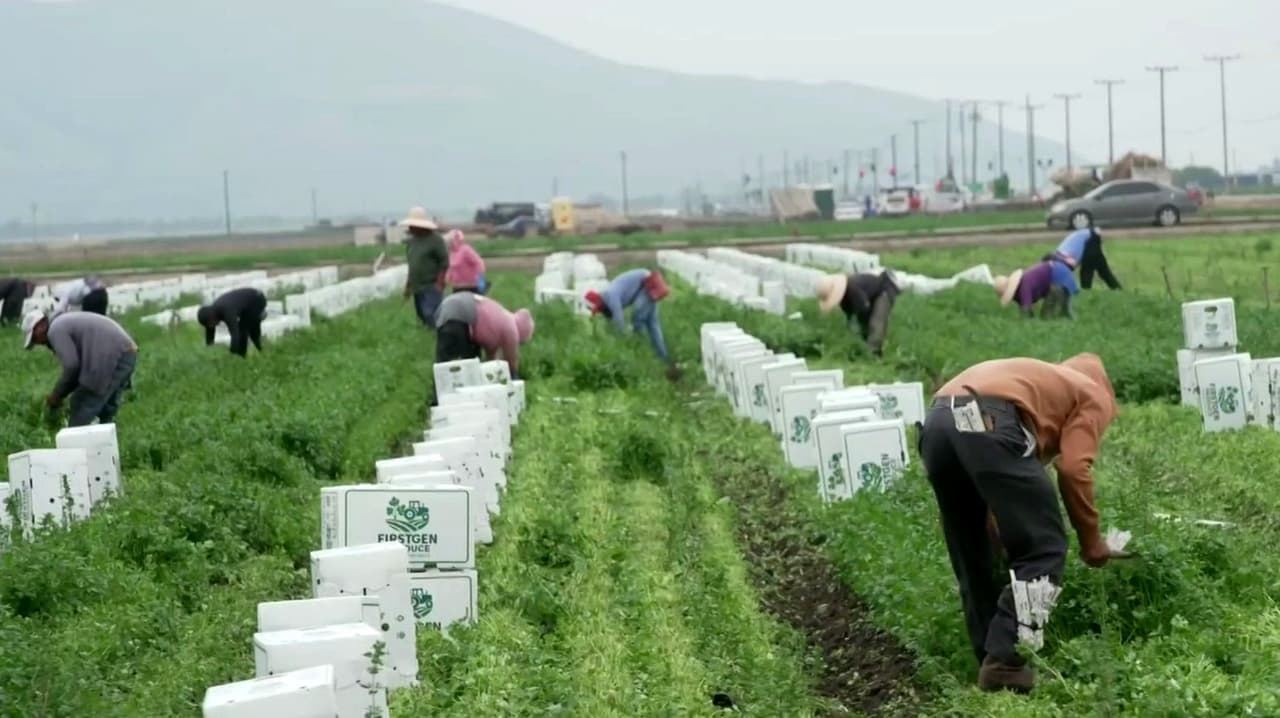 ¿Cómo se vive el Día del Trabajador Agrícola en California luego de cambios por acusaciones contra César Chávez?
