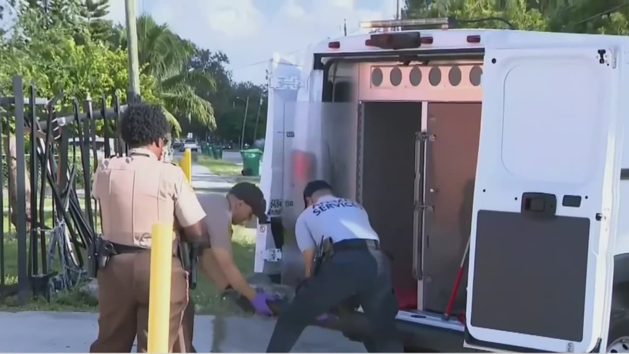 Encuentran un perro quemado dentro de una caja en Miami-Dade: investigan un presunto caso de crueldad animal