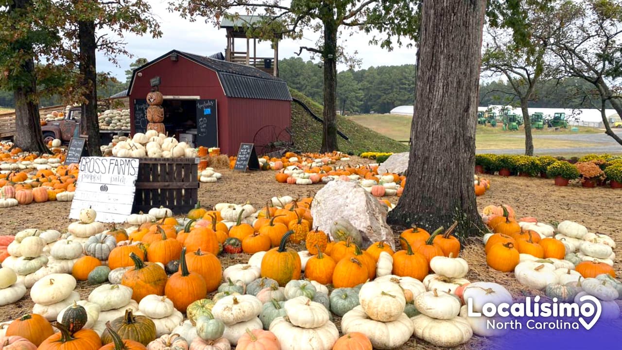 Disfruta de las delicias del otoño 2023 en estas granjas de Carolina del Norte
