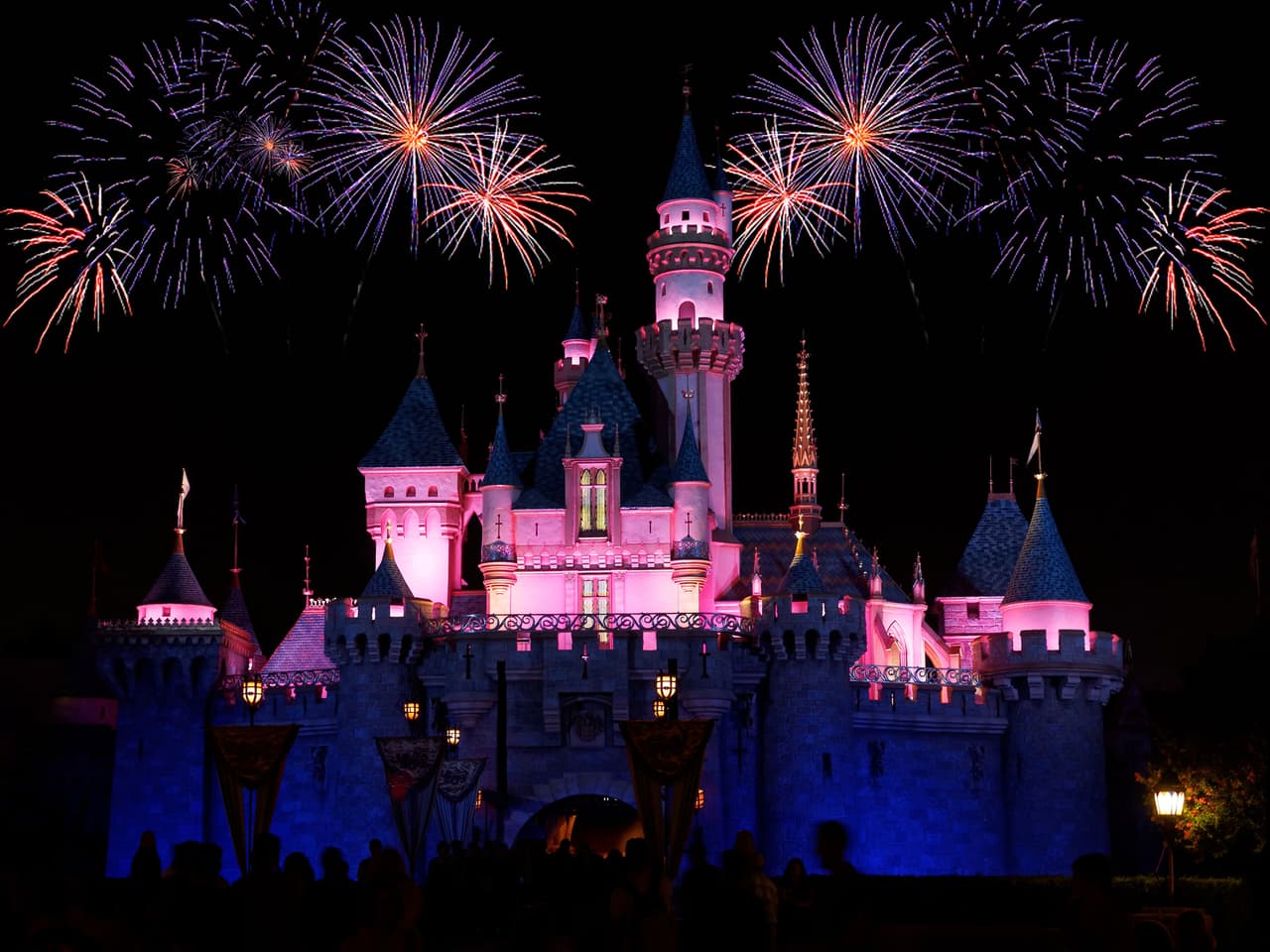 Se dice que en Disney todos los sueños se hacen realidad, por lo que si decides proponerte a tu pareja aquí, podría ser para ella un sueño cumplido.