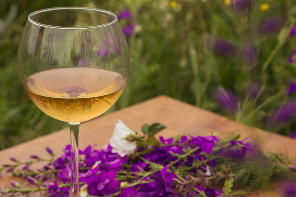 <b>Piscis</b>
<br>Románticos y soñadores como un Pinot Noir, vino blanco bien frío con un bouquet floral. Asimismo un Riesling de origen alemán que evoca la sutileza típica de este signo de agua. Y por supuesto, el indispensable Malbec para esa cena íntima.