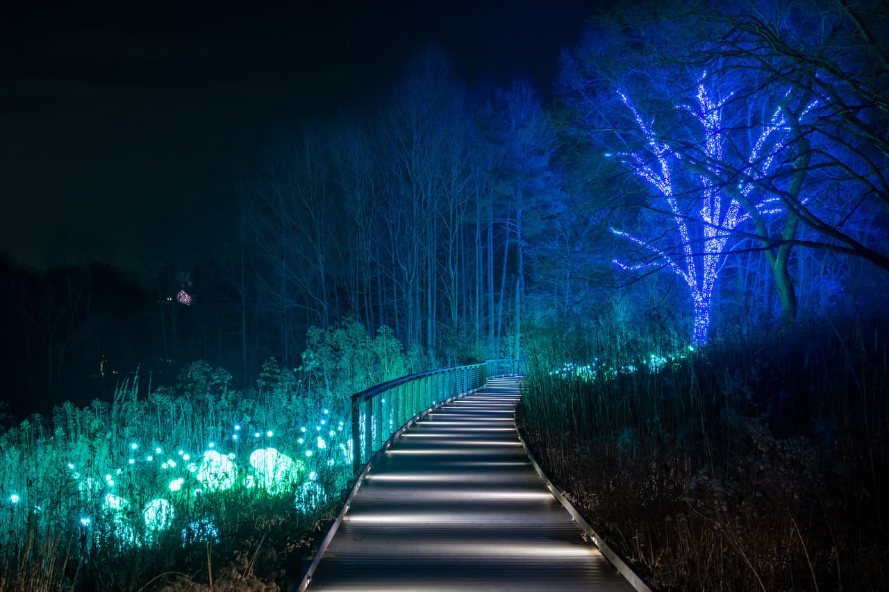 Una vista de ensueño de nuestro Silver Garden por la noche.