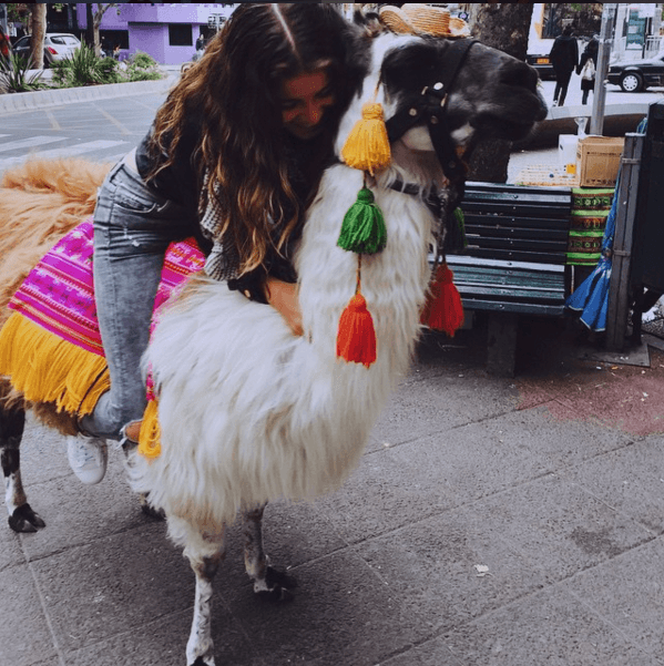 Sofía Reyes es una joven entusiasta y alocada.