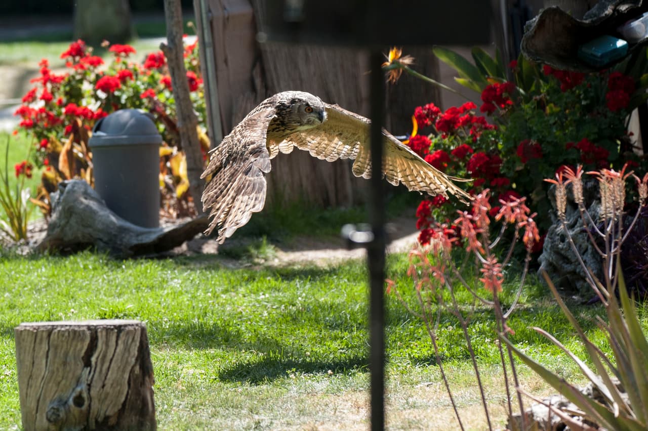 Un bello dia fue perfecto para las familias desde Bakersfield a Modesto.