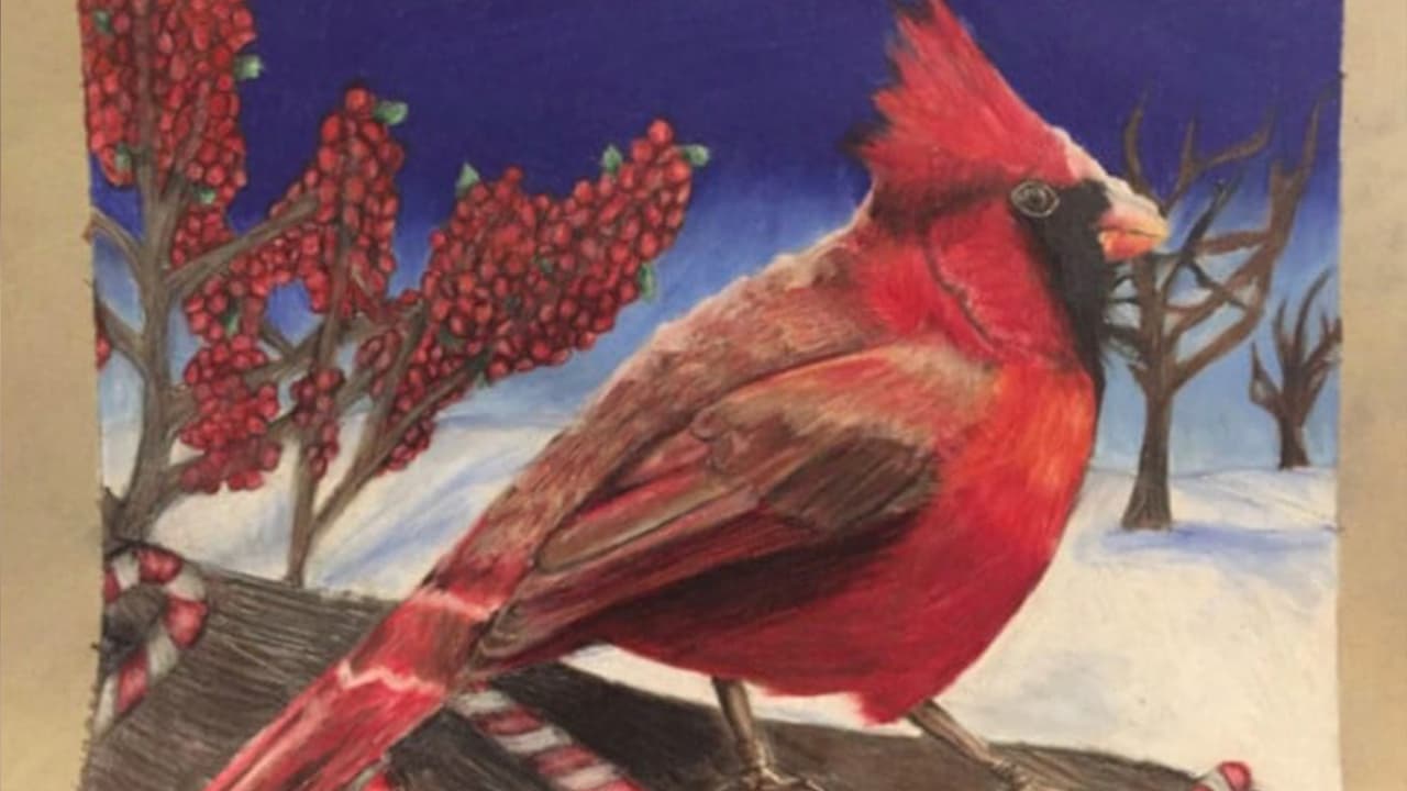 Nora Gwyn, séptimo grado, Baylor College of Medicine Academy at Ryan Middle School.